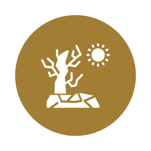 Icon showing a decline in rainfall