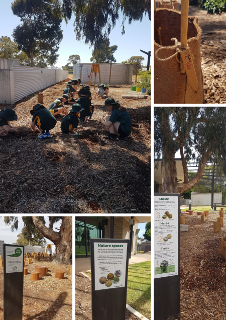 Activity Garden - collage of images of activities in the garden